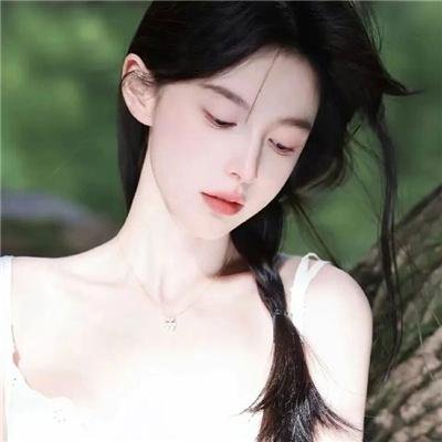 继承者风云